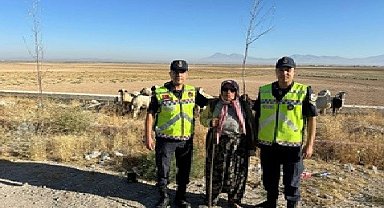 Konya'da kayıp küçükbaş hayvanları jandarma buldu