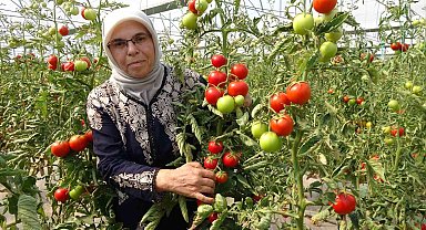 Koparmaya dahi kıyamıyorlardı, hobileri tutkuya dönüştü
