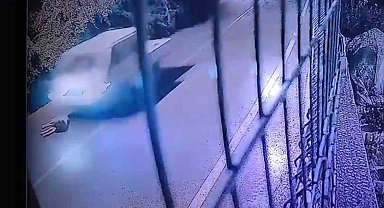 Köpeği ezip yoluna devam etti