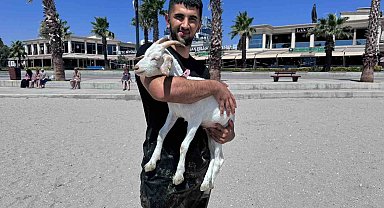 Kurban Bayramı'ndan bu yana baktığı keçiyi evcilleştirdi