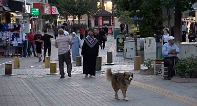 Kütahya kredi kullanımı ve batık kredi tutarında 40. sırada