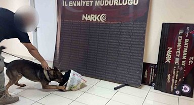 Makarna poşetleri içerisinde bonzai nakliyatı