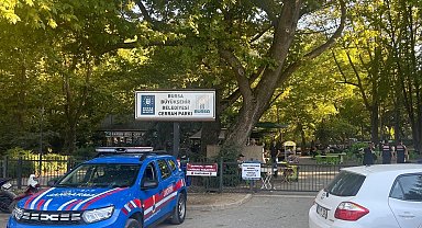 Mangal yakanlara ceza yağıyor