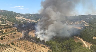 Manisa'da bir orman yangını daha
