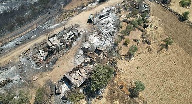 Manisa'daki orman yangınında acı tablo