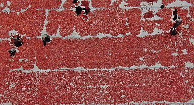 Manisalı domates üreticilerini sevindirecek gelişme