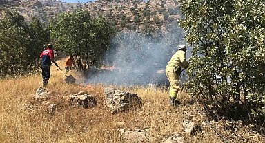 Mardin'de ormanlık alanda çıkan yangın söndürüldü