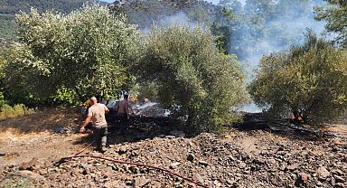 Marmaris'teki orman yangını büyümeden söndürüldü