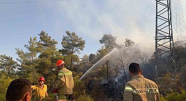 Milas'taki zirai alan yangını kontrol altına alındı