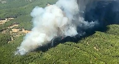Muğla'da eş zamanlı orman yangını