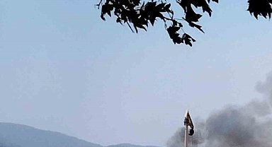 Muğla'daki sazlık yangını söndürüldü