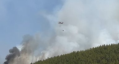 Muğla'daki yangınlara 20 hava aracıyla müdahale ediliyor
