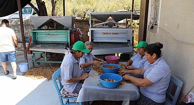 Muğla'nın tarımsal ürünleri dünyaya açılıyor