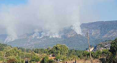 Orman yangınını söndürme çalışmaları 22 saattir sürüyor