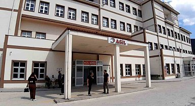 Ormanda görev yapan personele arılar saldırdı: Hastanelik oldular