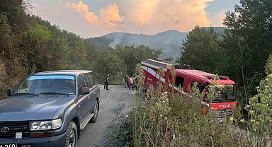 Ormanlık alanda çıkan yangın paniğe neden oldu