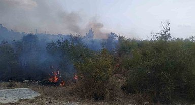 Osmaniye'de makilik alanda çıkan yangın söndürüldü