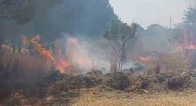 Otluk alanda çıkan yangın ormana ulaşmadan söndürüldü