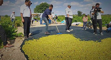 Peygamber üzümünün kurutulma yolculuğu başladı