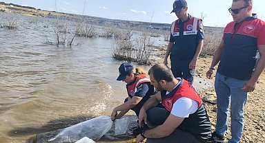 Pınarhisar'da barajlara balık bırakıldı