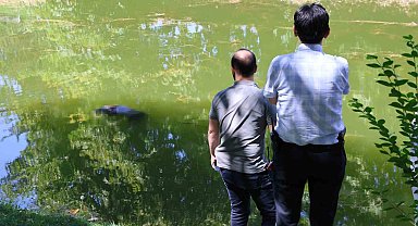 Porsuk Çayı'ndan ceset çıktı