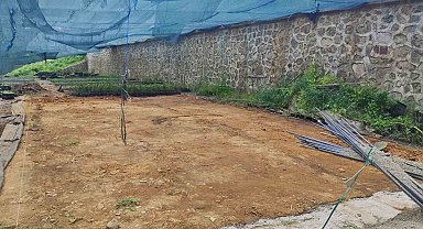 Rize Ziraat Odası çay üreticisine destek için çay tohumu yağı fabrikası kuruyor