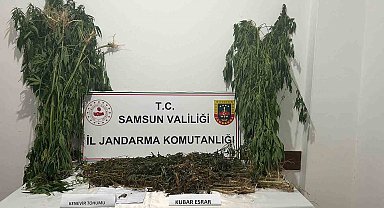 Samsun'da 6 kilo 550 gram kubar esrar ele geçirildi