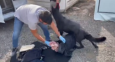 Samsun'da bir araçtan 572 gram metamfetamin ele geçirildi