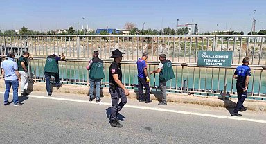 Şanlıurfa'da sulama kanalında görülen dev kaplumbağa ekipleri harekete geçirdi