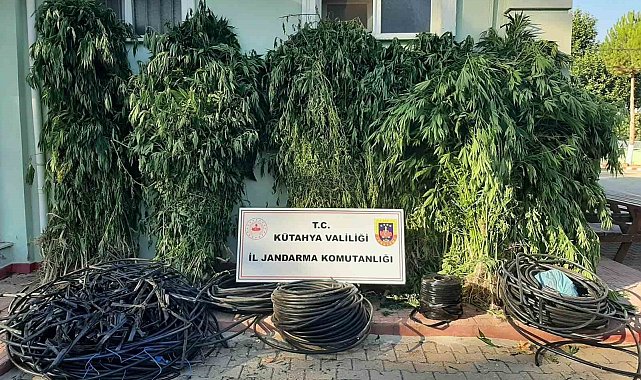 Simav'da uyuşturucu operasyonu: 4 şüpheli gözaltına alındı