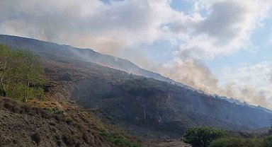 Sinop'ta örtü yangınında 5 hektar alan zarar gördü