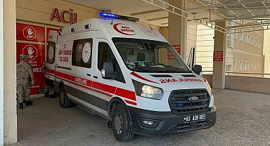 Siverek'te çiftçi domuzun saldırısına uğradı