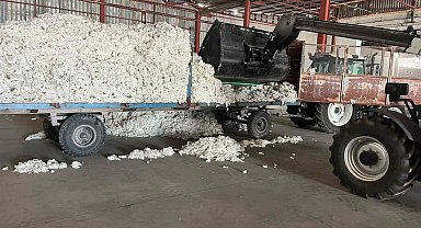 Söke TARİŞ Pamuk Kooperatifi sezonun ilk pamuğunu aldı
