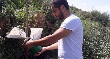 Söke'de pamuk tarlalarında zararlı kontrolü yapıldı