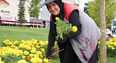 Sonbahar renkleri toprakla buluşuyor