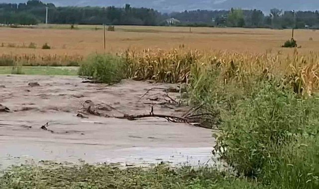Su kanalı patladı, tarım arazileri su altında kaldı