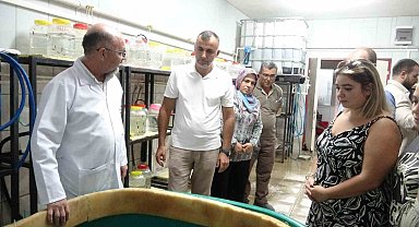 Sülük tedavisi eğitimine yurt dışından yoğun ilgi