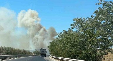 Susurluk - Balıkesir yolunda otlar tutuştu