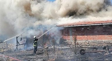 Tavşanlı'da ot yangını boş besi damına sıçradı