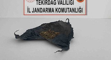Tekirdağ'da uyuşturucu operasyonları: Bonzai ve esrar ele geçirildi