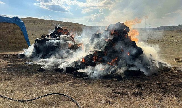 Tekman'da 600 balya ot küle döndü