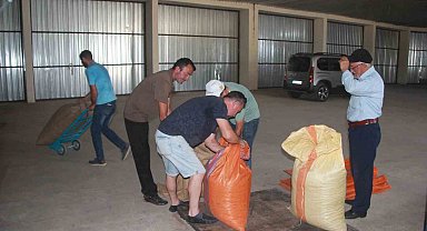 TMO Ordu'da fındık alımına başladı: İlk fındık 132,60 liradan satıldı