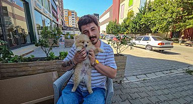 Tokat'ta tasmasız dolaşan doberman tehlike saçtı