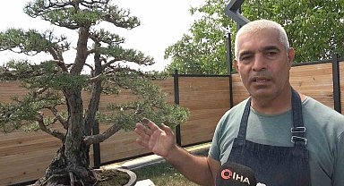 Toprak Dede'nin bonsai koleksiyonu müzede yaşatılıyor