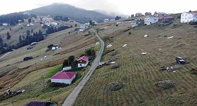 Trabzon'da yaylacıların çayır biçme telaşı
