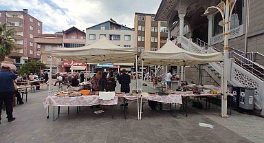 Türkeli'de sahipsiz hayvanlar için 51 bin lira toplandı