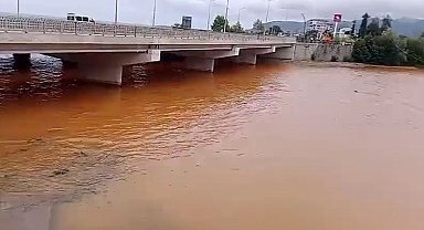 Türkülere konu olan Gelevera Deresi'ndeki balık ölümleri korkutuyor