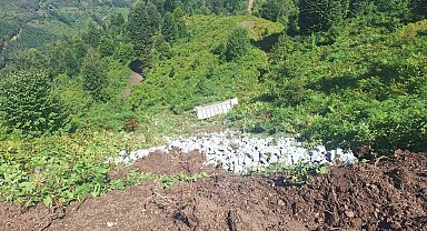 Uçuruma yuvarlanan kamyon hurdaya döndü: 1 yaralı