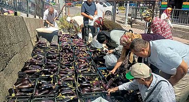 Üretim fazlası 5 ton patlıcanı yüzlerce kişiye bedava dağıttılar