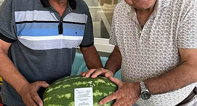 Ürettiği karpuz tarlada kalınca düğün davetiyesi olarak kullandı